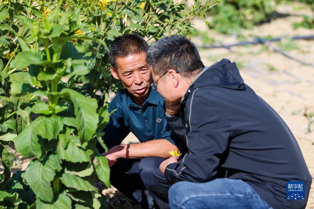 巴黎人十大菠菜